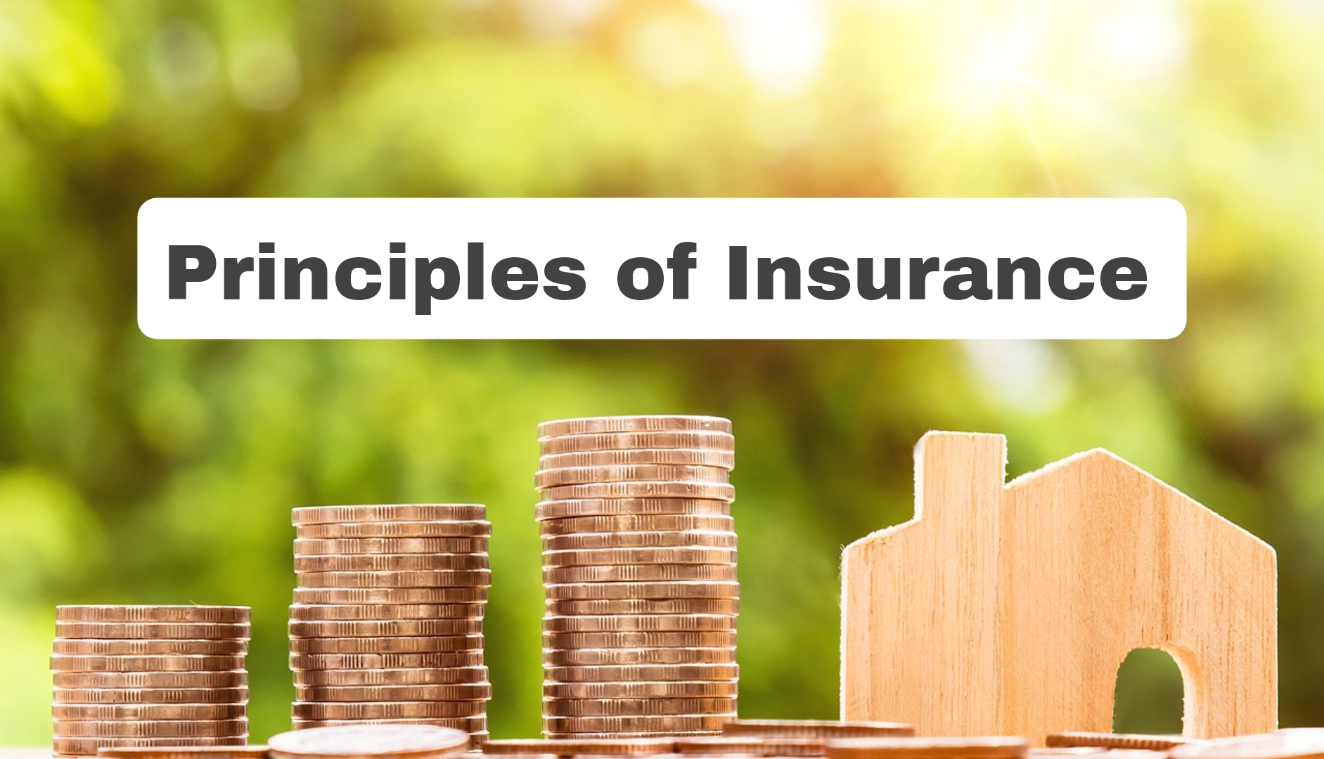 Principles of insurance